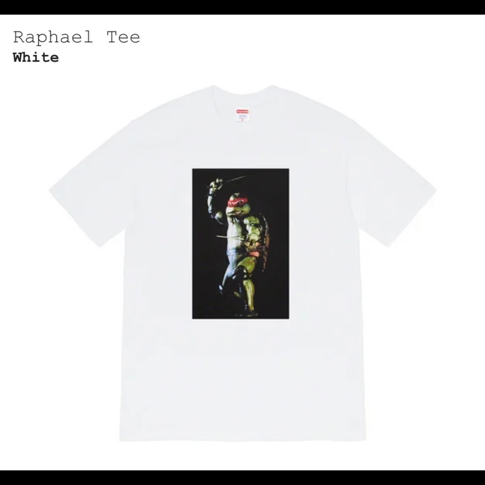 Supreme ninja turtles tee